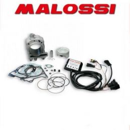 3116090 GRUPPO TERMICO MALOSSI 218CC D.75.5 PIAGGIO...