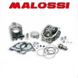 3116208 GRUPPO TERMICO ALBERO CAMME MALOSSI 218CC D.75.5...