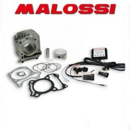 3116669 GRUPPO TERMICO MALOSSI 182CC D.63 VESPA LX 3V 150...