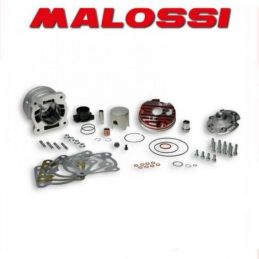 3115883 GRUPPO TERMICO MALOSSI 94CC D.52 PIAGGIO NRG 50...