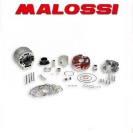 3115385 GRUPPO TERMICO MALOSSI 94CC D.52 DERBI GP1 50 2T...