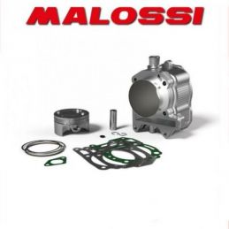 3113924 GRUPPO TERMICO MALOSSI 270CC D.75.5 PIAGGIO X7...