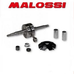 5315973 ALBERO MOTORE MALOSSI MHR APRILIA AREA 51 50 2T...