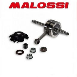 5316005 ALBERO MOTORE MALOSSI MHR PIAGGIO NTT 50 2T LC...