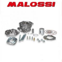 3112371 GRUPPO TERMICO MALOSSI 50CC D.39.88 DERBI GPR...