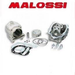 3117542 GRUPPO TERMICO MALOSSI 270CC D.75.5 PIAGGIO...