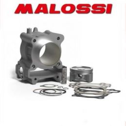 3117968 CILINDRO MALOSSI 183CC D.63 YAMAHA N MAX 125 IE...