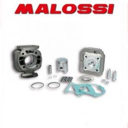 316901 CILINDRO MALOSSI 50CC D.40 APRILIA AMICO 50 2T...