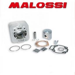 318236 CILINDRO MALOSSI 172CC D.65 GILERA TYPHOON X 125...