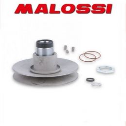 619733 KIT CORRETTORI DI COPPIA MALOSSI APRILIA AREA 51...