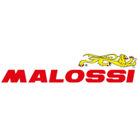 Malossi