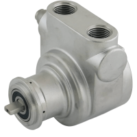 Pompe rotative acciaio